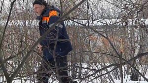 Ловля птиц. 6.04.2022 год.
