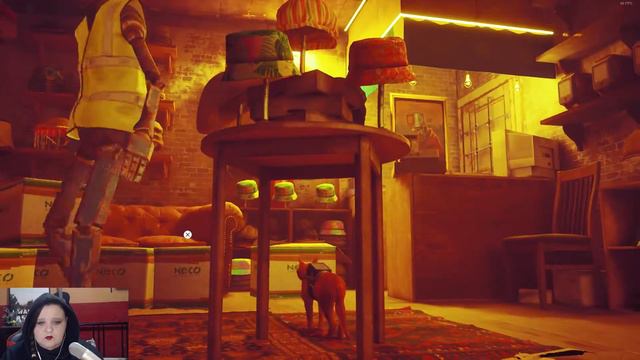 Stray ep.9 - В поисках куртки смотреть онлайн