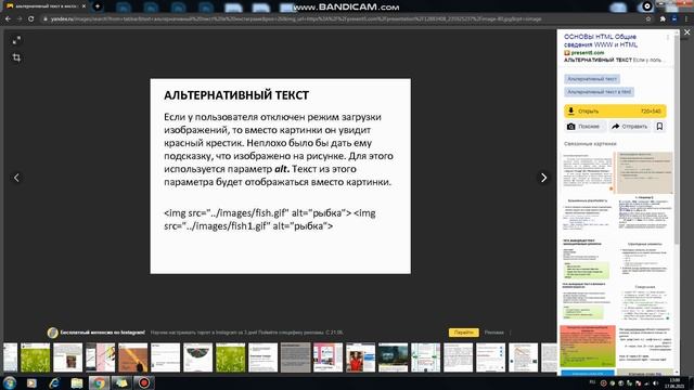 Что такое Альтернативный текст в Инстаграм. Зачем он нужен и как продвигаться с его помощью?