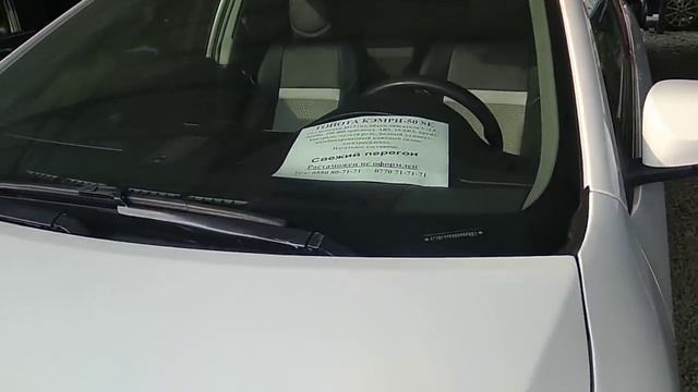АВТОРЫНОК - ТАЗА унаалардын БААСЫ    НАВЕС - 1