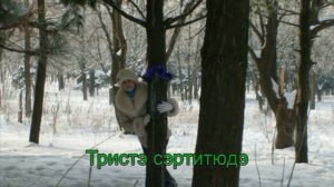 песня Падает снег слова перевод на русский с французского