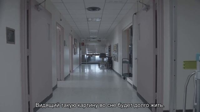 К чему снится могила? Толкование сна и его значение по сонникам Фрейда и Ванги