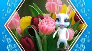 Поздравление с Днем Рождения! Пожелания с Днем Рождения! Лови Позитив!