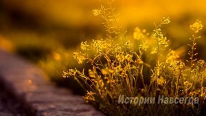 Забыв кошелек Ирина тихонько зашла в квартиру, а подслушав разговор свекрови…