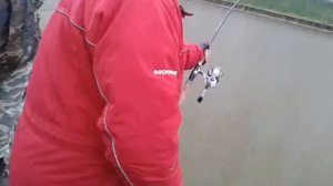 На бомбарду,на платнике.