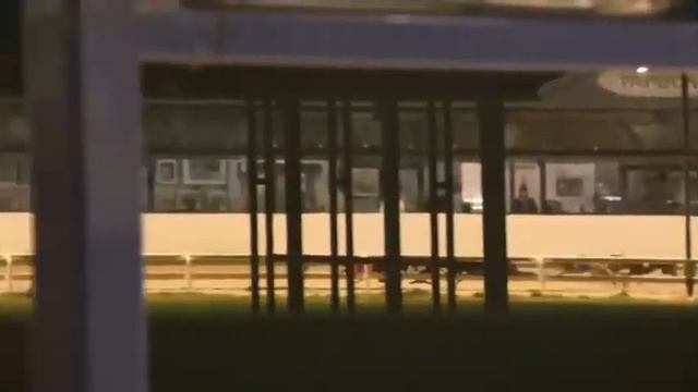 BUBBLY FREEBIE Wins In The Coral Standard Trophy - Heat 1 Race At Odds Of 20/1 In Trap 5 At Romford смотреть онлайн