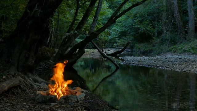 Как ускорить созревание картофеля после цветения? смотреть онлайн