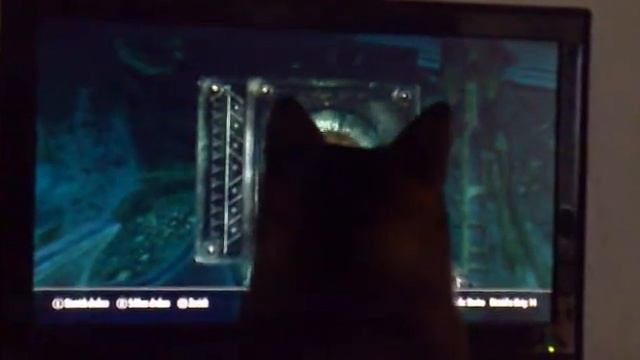 My cat loves lockpicking in Skyrim смотреть онлайн