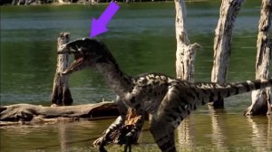 Реакцию на Научный Разбор последней 6 серии Прогулок с Динозаврами Гибель Династии The Last Dino