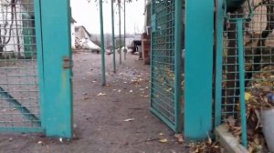 СМЕШНЫЕ ГУСИ! ❤ ПРИКОЛЬНО БЕГАЮТ! 🙆