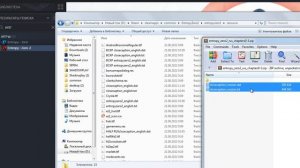 Как включить русские или английские субтитры в Entropy Zero 2