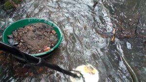 Поиск Золота на золотоносном ручье!