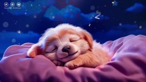 Canciones para Dormir en 5 Minutos - Música Relajante para Dormir Profundamente