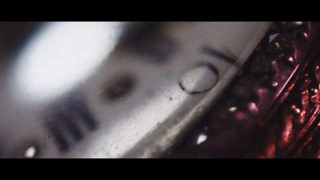 Macro Video Test with Reverse Ring  Cinematic 4K  Emotion Movie