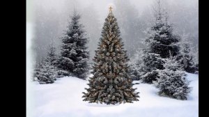 НОВОГОДНИЕ  КАРТИНКИ