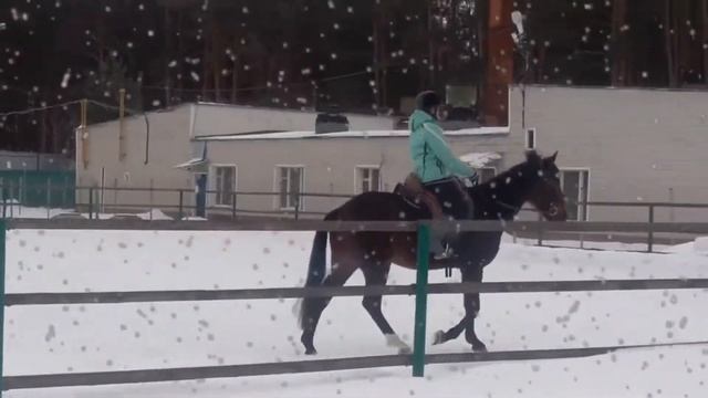 ПАРК ОТЕЛЬ ЗВЕНИГОРОД