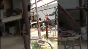 ОТЗЫВ КЛИЕНТА АЛЕКСАНДРА. КРУТИТ ТОРСИОН. РУЧНОЙ СТАНОК ДЛЯ ХОЛОДНОЙ КОВКИ СВОИМИ РУКАМИ.