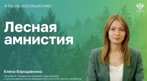 Про Закон о лесной амнистии - начальник профильного Управления Рослесхоза Елена Бородавкина