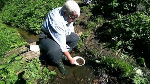 Экспедиция за золотом в Подмосковье/Клондайк/Добыча золота/Моем золото/Золотая лихорадка/Старатель