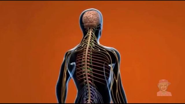 ♥Как определить свой денежный потолок смотреть онлайн