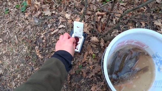 КАРАСЬ на БОКОВОЙ КИВОК. Показал карасям ГДЕ РАКИ ЗИМУЮТ. смотреть онлайн