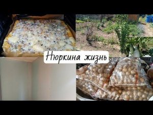 Купили свежий картофель // Село Киевское // Домашняя выпечка //Шикарные обновки // Пристрой и огород