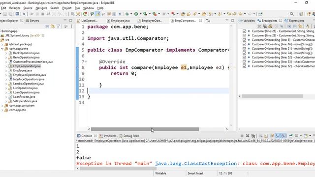 Comparator in Java !Java tutorials for beginners! Java fundamentals ! Java interview preparation