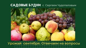 Садовые будни с Сергеем Чудопаловым. 
Отвечаем на Ваши вопросы и смотрим урожай сентября