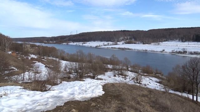 Рыжий лесной муравей (род Formica). Алексин 22.03.2022 г. смотреть онлайн