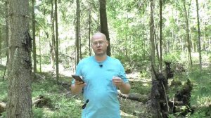 Шекспир. Сонет № 11