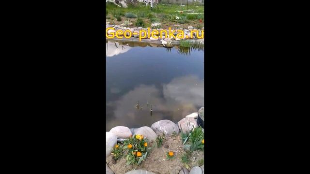 Пленка для пруда Винилит, отзыв