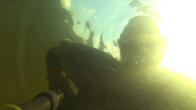 Подводная охота в +36. Где находится рыба в такую жару??? смотреть онлайн