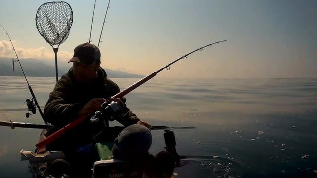Kayak Fishing - Traina con striscetta a caccia di tanute - Viking Reload смотреть онлайн
