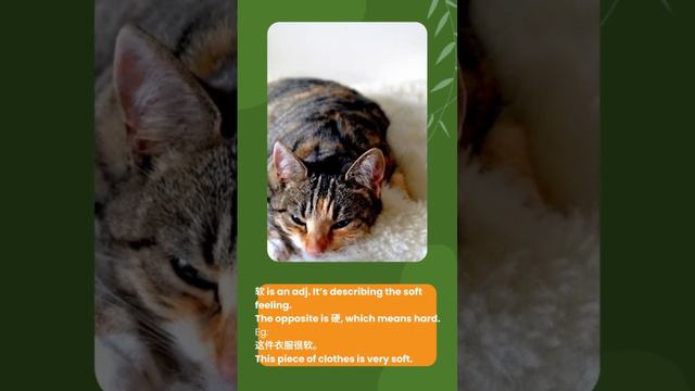 Learn a Chinese word every day! смотреть онлайн