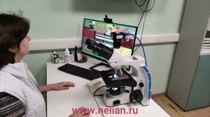 Системы визуальной диагностики Дианел в интегративной и холистической медицине а также нутрициологии