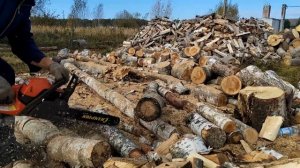 Как там Хускварна 130? Пилим БЕРЁЗУ, рвёт цепь.