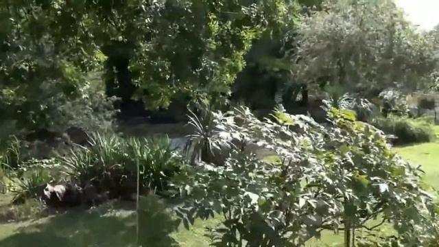 Unser einstiger Spaziergang im Zoo 4 смотреть онлайн