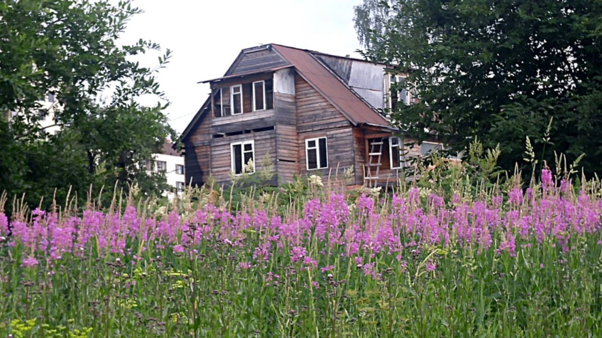 Карелия. Удивительный край лесов и озёр. Красота природы Русского Севера.