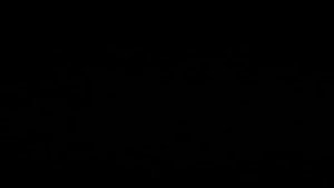 ВОЛК И ЕВАНГЕЛИЕ…ПРИТЧА