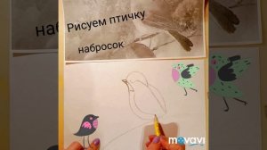 Как нарисовать птицу.Делаем набросок карандашом.