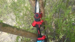 TPLC-B07 Lithium Battery Chainsaw Show