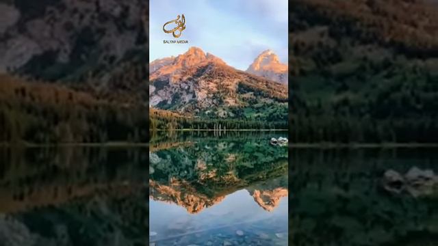 Шейх Мишари Рашид сура-47 Мухаммад kuranzakirnaik kuransunnahкоран