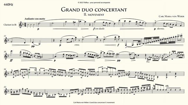 Carl Maria von Weber: Grand duo concertant 2nd mvt. - piano accompaniment 440Hz смотреть онлайн