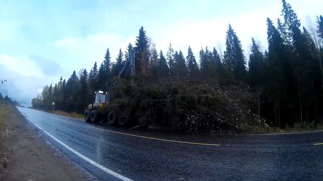 Путешествие в Карелию. Сортавала-Рускеала