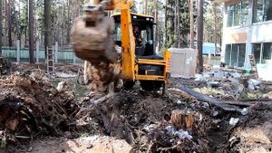 Корчевание пня экскаватором JCB (www.pro-alpinizm.ru)