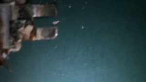 Подготовка к аффинажу, что внутри редкой микросхемы лзт-4,0-1200