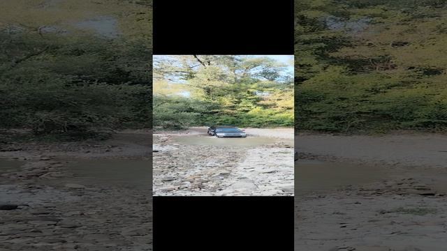 не страшно смотреть онлайн