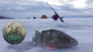 Рыбалка в заветных местах на жерлицы , открытие . проверка новой палатки УП-5.