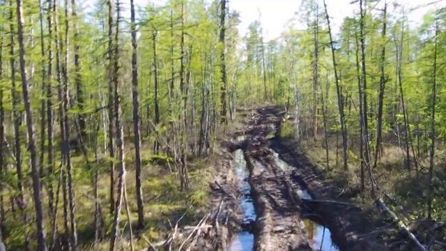 Вездеход Трекол смотреть онлайн