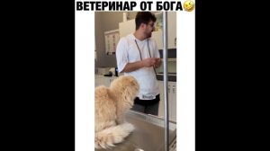 ПРИКОЛ - ветеринар от бога